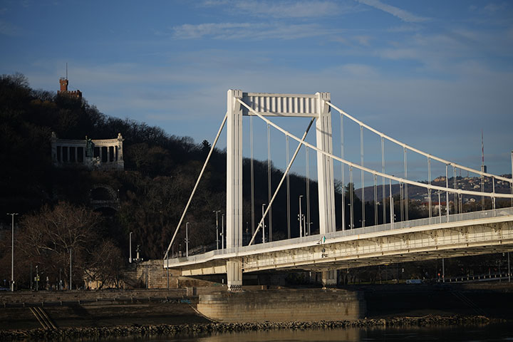 720_20250129_DSC06274Erzsebethid105mm.jpg