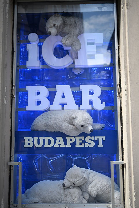 720_20250411_DSC_0277icebar.jpg