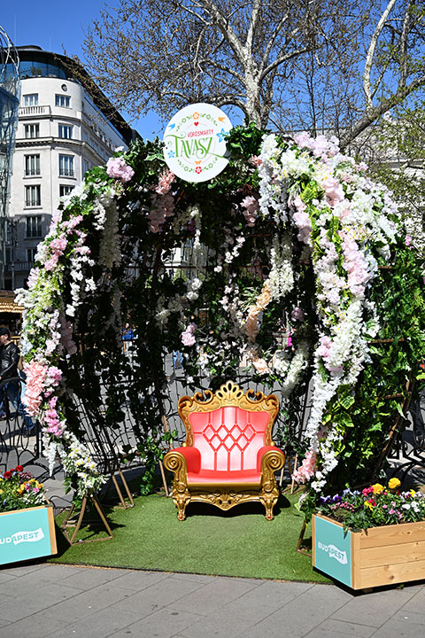 720_20250411_DSC_0417Vorosmartytavasz.jpg
