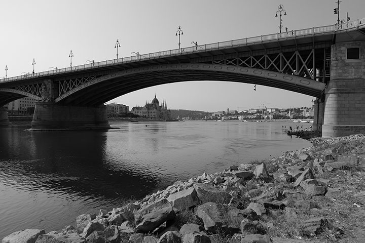 720_20260807_P1019784monochrome.jpg