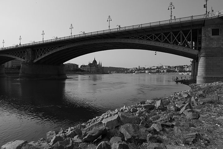 720_20260807_P1019785Lmonochrome.jpg