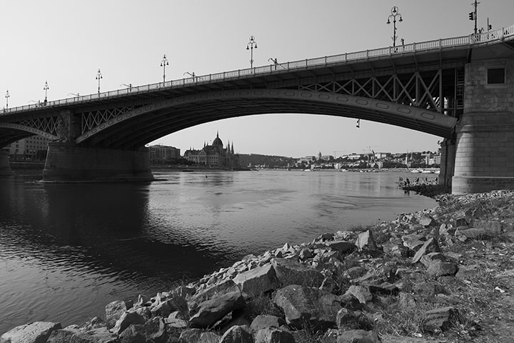 720_20260807_P1019786LmonochromeD.jpg