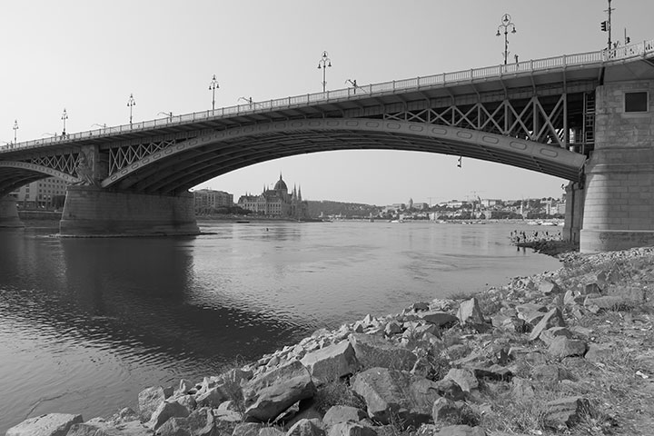 720_20260807_P1019787monochromeS.jpg