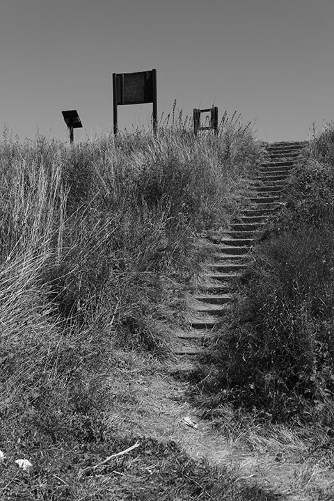 720_20260809_P1019912lepcsoleicamonochrome.jpg