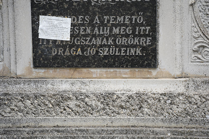 720_20260722_DSC01224sirfelirat.jpg