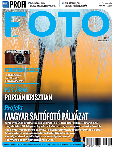 2019/01 145. szám