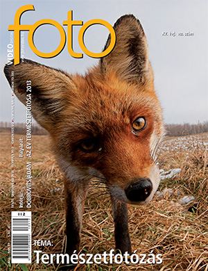 2013/4 112. szám