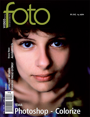 2013/6 114. szám