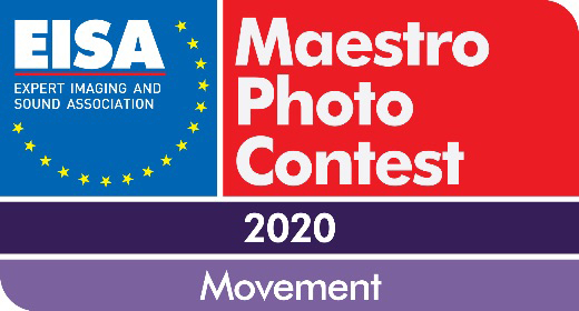 Moovment-maestro-520x280.jpg