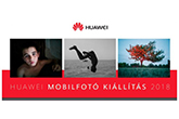 Nemzetközi mobilfotós kiállítás nyílt az Akváriumban