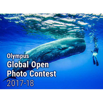 Olympus Global Open Photo Contest 2017-18 fotópályázat