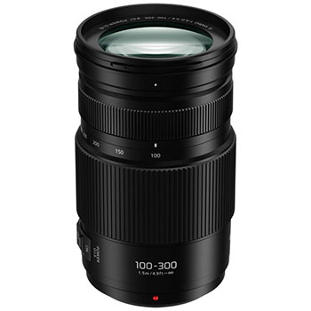 Panasonic Lumix G 100-300mm f/4-5.6 II Power O.I.S.