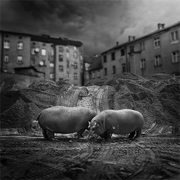 4 magyar a Sony World Photography Awards-on