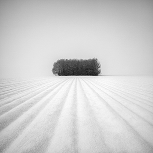 _B8A2466.jpg