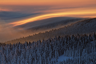 _MG_1588.jpg