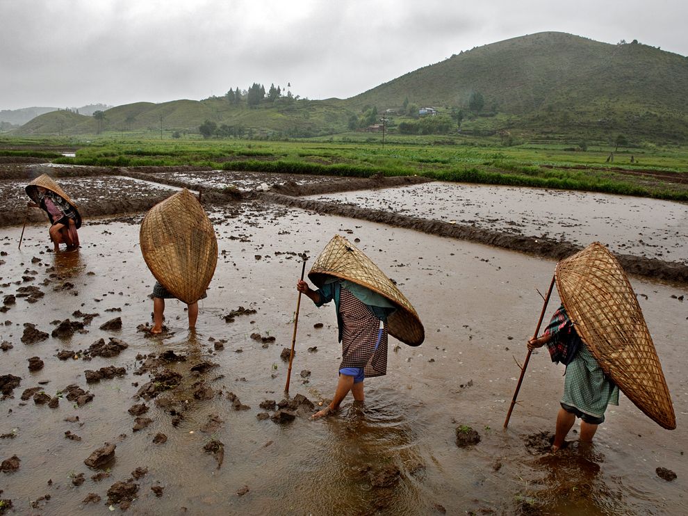 Johnny Haglund, Mawsynram India.jpg