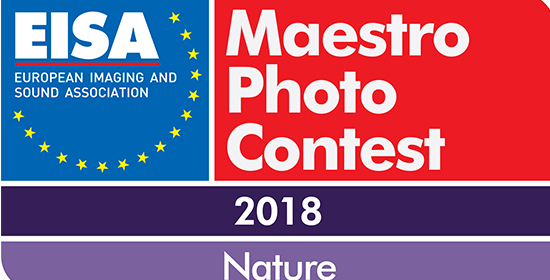 Eisa Maestro fotópályázat 2018